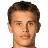 路德维格·亨里克森头像