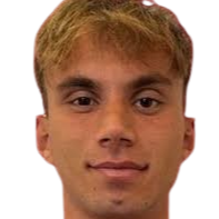 米尔科·埃利亚头像