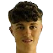 尼古拉斯·贝伦戈头像