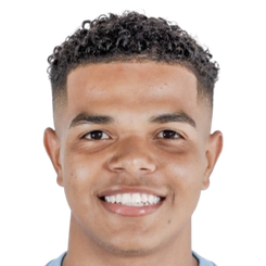 弗朗西斯科·梅伦德头像