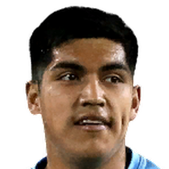 尼古拉斯·布鲁纳·阿拉亚头像