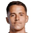 马丁·塞库里奇头像