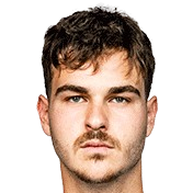 阿里尔·希尔兹基头像