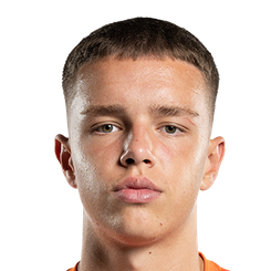 斯蒂芬·奥斯托伊奇头像