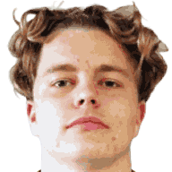 塞巴斯蒂安·纳埃鲁姆·埃克豪根头像