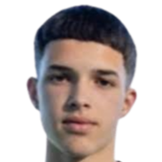 弗拉维奥·贡萨尔维斯头像