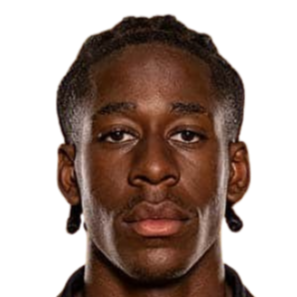 法比安·雷诺兹头像