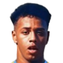 穆罕默德·萨米尔头像