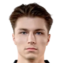 亚历山大·西博科夫头像