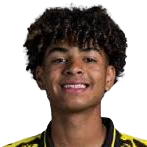 马蒂斯·阿尔伯特头像