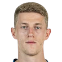 蒂蒙·韦纳头像