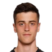 达迪·约翰逊头像