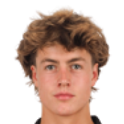 梅里恩·范德维尔头像