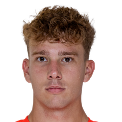 马泰·哈费拉头像