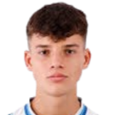 费兰·戈麦斯头像