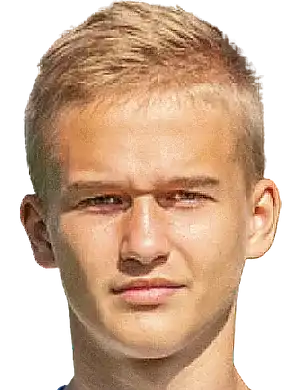 瓦迪姆·罗尔杜金头像