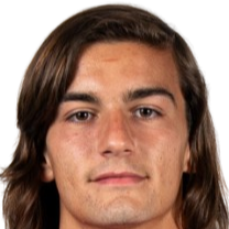 若昂·瓦斯康塞洛斯头像