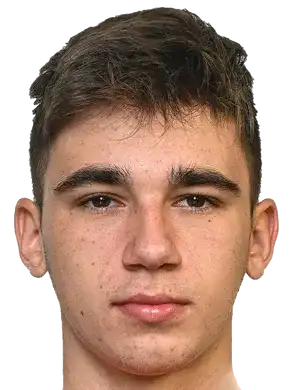 丹尼斯·科利伯萨努头像