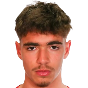 马修·多斯·桑托斯头像