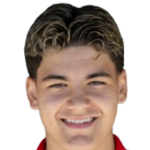 阿梅尔·阿夫迪克头像