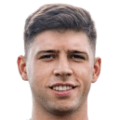 毛罗·瓦林特头像