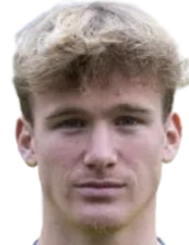 文森特·德沃斯头像