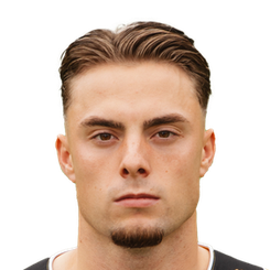 尼诺·佐内维尔德头像