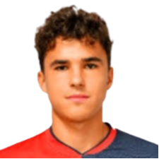 斯特凡·图多尔·尼亚姆修头像