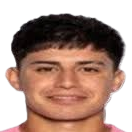 阿莱霍·卡斯特罗·里斯塔诺	头像