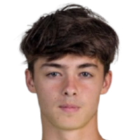 亚历山大·图尔金头像