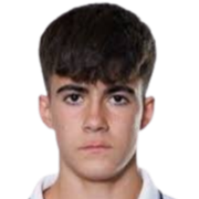 阿尔瓦罗·莱兹卡诺头像