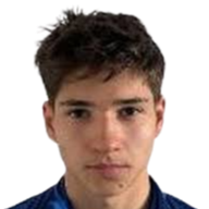 阿内斯·哈斯基奇头像