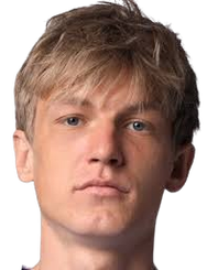 安东·波列夫头像