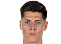 萨瓦·塞斯蒂奇头像