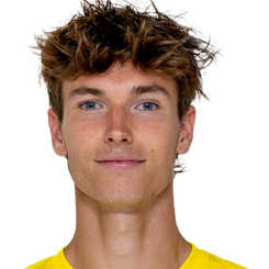 丹尼尔·卡斯塔内克头像