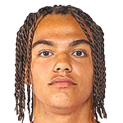 里卡多·尼科洛夫·费尔南德斯头像