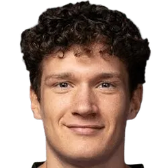 埃利亚斯·桑多伊·米尔瓦涅斯头像