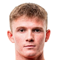 尼古拉·容维格头像