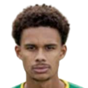 德文·佩恩头像