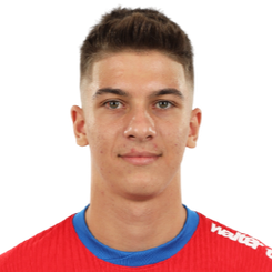 亚历山大·斯托安头像