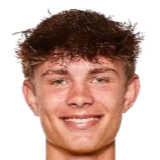 弗雷德里克·罗斯林头像