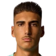 吉列尔梅·梅雷莱斯·皮雷斯头像