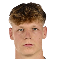 范英格戈姆头像