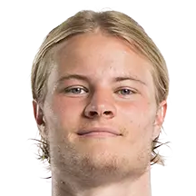 安德烈·郭约翰森头像