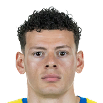 埃伦詹·雅迪米奇头像