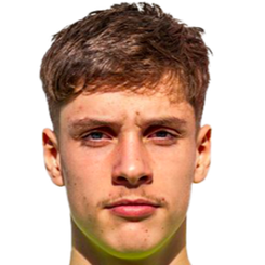 朱尔斯·斯塔维茨基头像