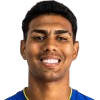 埃迪万·维托尔·达·席尔瓦·朱尼尔头像