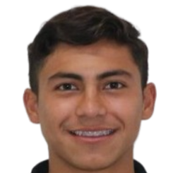 罗德里格斯头像