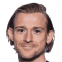 扬·埃里克·德·兰利头像