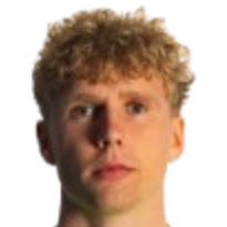 佩德·霍尔·勒维克头像